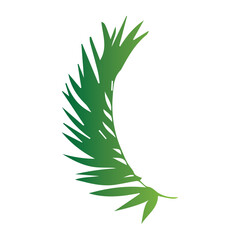 Leaves of tropical trees, ferns, exotic leaves, stamp, leaf shape, leaf stencils, color gradient, element, bright sticker, design with graphic symbols of the logo, the ability to change color and size