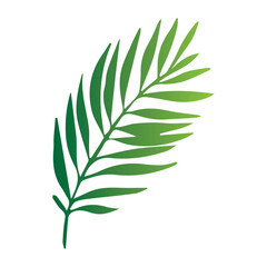 Leaves of tropical trees, ferns, exotic leaves, stamp, leaf shape, leaf stencils, color gradient, element, bright sticker, design with graphic symbols of the logo, the ability to change color and size