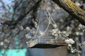 A bird feeder made of aluminum wire against a background of blossoming apricot.