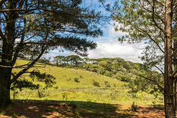 Fototapeta na wymiar A view of Ronda Municipal Park in Sao Francisco de Paula, South of Brazil