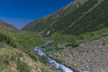 Mountain river in a field in a valley in the Koksai gorge in the Aksu-Zhabagly Nature Reserve in Kazakhstan in summer