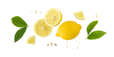 Fresh lemon fruit whole and slices with leaves and drops falling flying isolated on white
