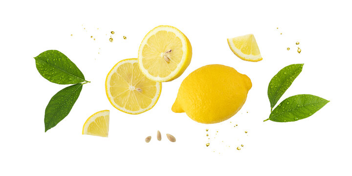 Fresh lemon fruit whole and slices with leaves and drops falling flying isolated on white