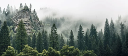  Misty mountains rise from the lush green forest, creating a captivating scene of natural beauty and tranquility. © EdNurg