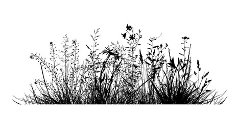 Meadow Grass silhouette. hand drawing. Not AI, Vector illustration.