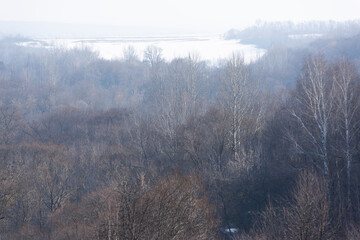 Haze over a snow-covered field with trees foreground - 769140406