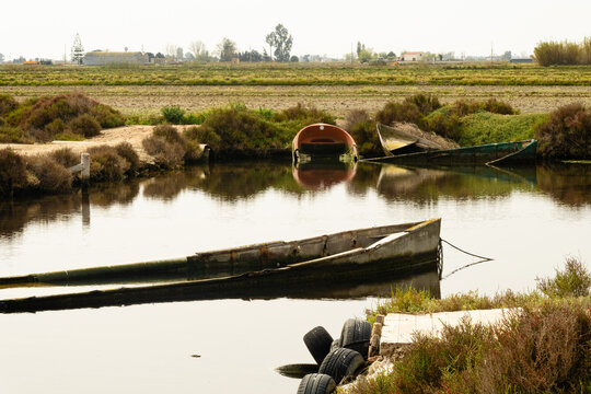 delta del ebro