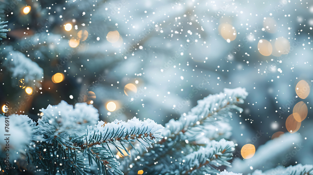 Poster beautiful winter background image of frosted spruce branches and small drifts of pure snow with boke