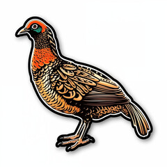 pheasant, sticker on white background