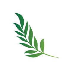 Leaves of tropical trees, ferns, exotic leaves, stamp, leaf shape, leaf stencils, color gradient, element, bright sticker, design with graphic symbols of the logo, the ability to change color and size