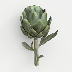 Fototapeta premium artichoke, food, vegetable, plant, healthy, flower, isolated, artichokes, vegetables, fresh, organic, market, raw, diet, vegetarian, garden, nature, purple, leaves, eat, macro, closeup, agriculture, p