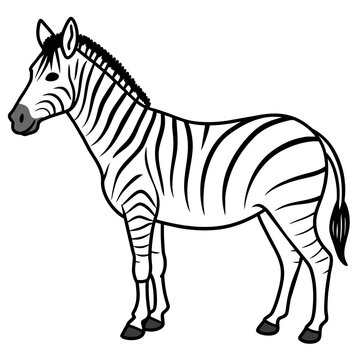 Zebra silhouette vector art Illustration 