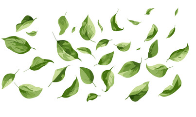 Green leaves flying in the wind vector illustration on white background - obrazy, fototapety, plakaty