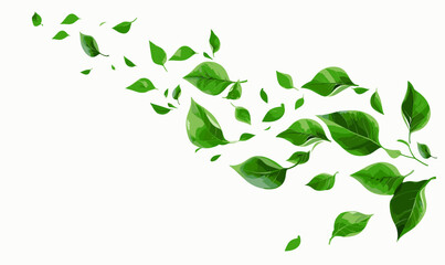 Green leaves flying in the wind vector illustration on white background