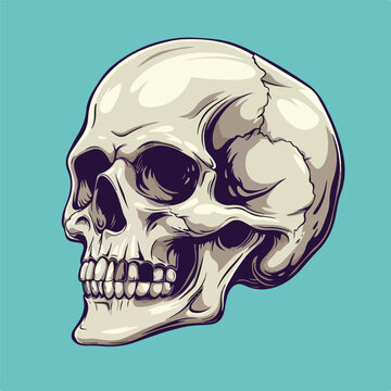 Skull cartoon vector illustration isolated backgroud