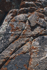 texture of the surface of a gray rocky mountain with cracks and orange moss close-up