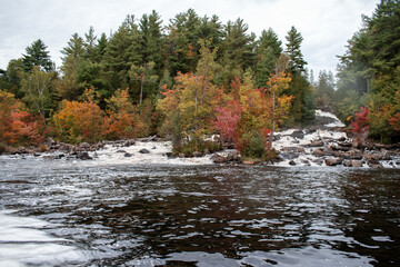 Mountain river in autumn with colorful trees and rocks in the foreground. Ontario, Canada.