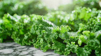 close up of fresh green lettuce leaves - Powered by Adobe