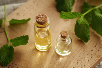 Two bottles of aromatherapy essential oil with fresh peppermint leaves