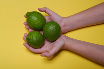 Hand Holding Three Limes: Zesty Trio of Citrus