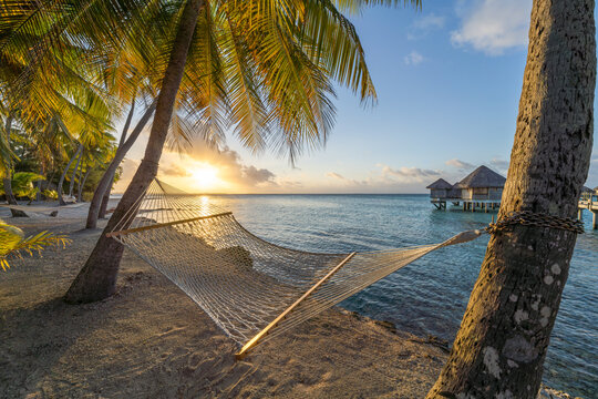 Relaxing summer vacation in a hammock on the beach