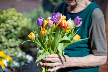 Elderly woman holding a colorful bouquet of tulips on a sunny day - 769167413