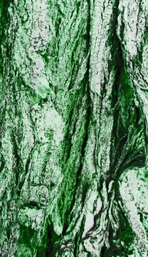 Green Bark texture