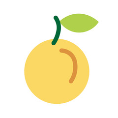 color isolated apricot fruit in flat style in vector. image of natural healthy eco food.template for logo sticker poster print decor design