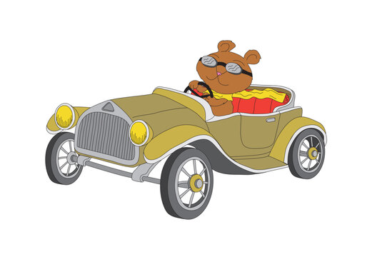 Cute cartoon illustration of a bear in a vintage car
