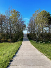 Strandzugang durch ein paar Bäume hindurch mit Ausblick auf die Ostsee, Meerblick