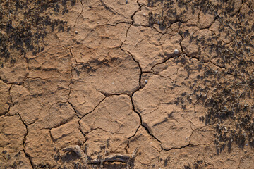 drought land cracked due to lack of water