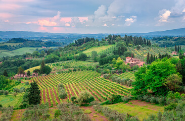 Scenic landscape with vineyards in Tuscany, Italy. Picture taken near San Gimignano.