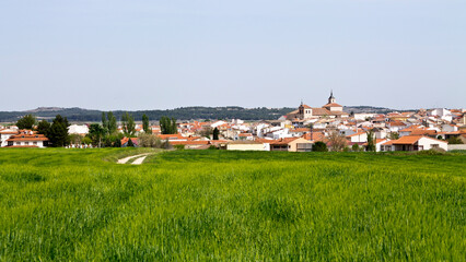 Green landscape in a Spanish village (Estremera, Madrid)