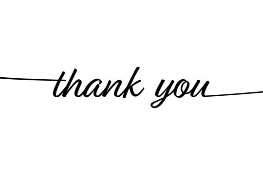 VECTOR lettering Thank you italics hand drawn inscription with lines. Calligraphic inscription, vector illustration.