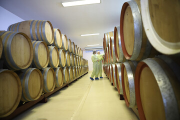 Winemaker working in modern large winery factory drink industry  and  testing wine in a wine factory warehouse - 769180205