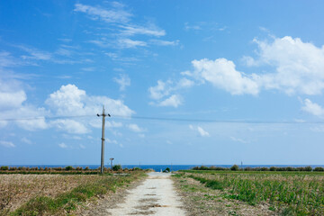 沖縄の青空と道