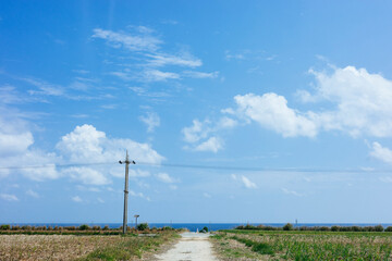 沖縄の青空と道