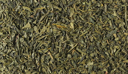 Sencha green tea background and texture, top view