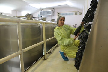 Winemaker working in modern large winery factory drink industry  and  testing wine in a wine factory warehouse - 769181619