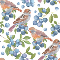 Watercolor blueberries branches seamless pattern - hand drawn floral berries with birds. Surface design pattern template