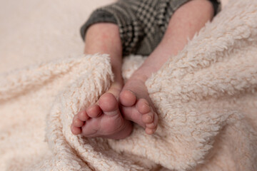 newborn baby. children's feet. newborn's legs. legs on the background. baby feet