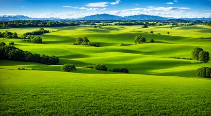 Rolgordijnen Beautiful green valley with green fields and hills. Natural summer background, nature landscape wallpaper. Created using generative AI tools © rustamank