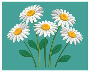Cartoon Daisy Flower Vector Design On White Background illustration