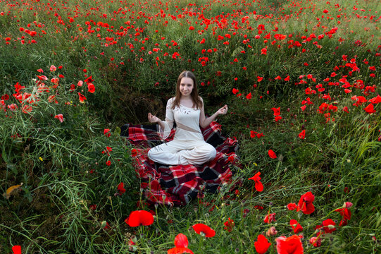 Amongst the Poppies: A Girl Amidst a Field of Blooming Poppies