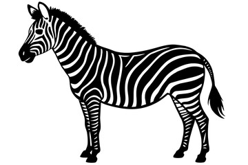 zebra silhouette vector illustration