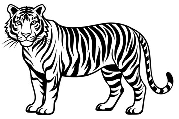 tiger silhouette vector illustration