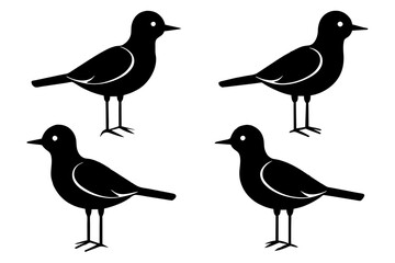 pebbles bird silhouette vector illustration 