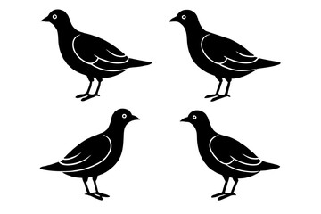 pebbles bird silhouette vector illustration 