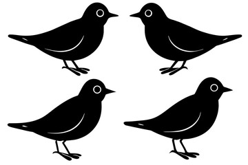 nibbles bird silhouette vector illustration