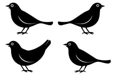 nibbles bird silhouette vector illustration